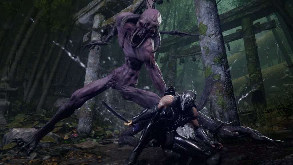 Ninja Gaiden 4 details